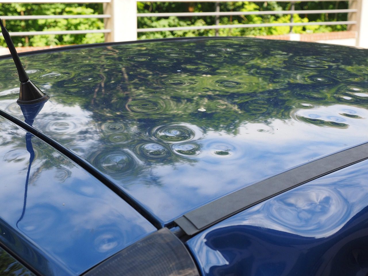 hail damage, automobile, car roof, paint damage, bumps, dents, hailbones, hail dents, case of insurance, insurance, hail damage, hail damage, hail damage, hail damage, hail damage, insurance